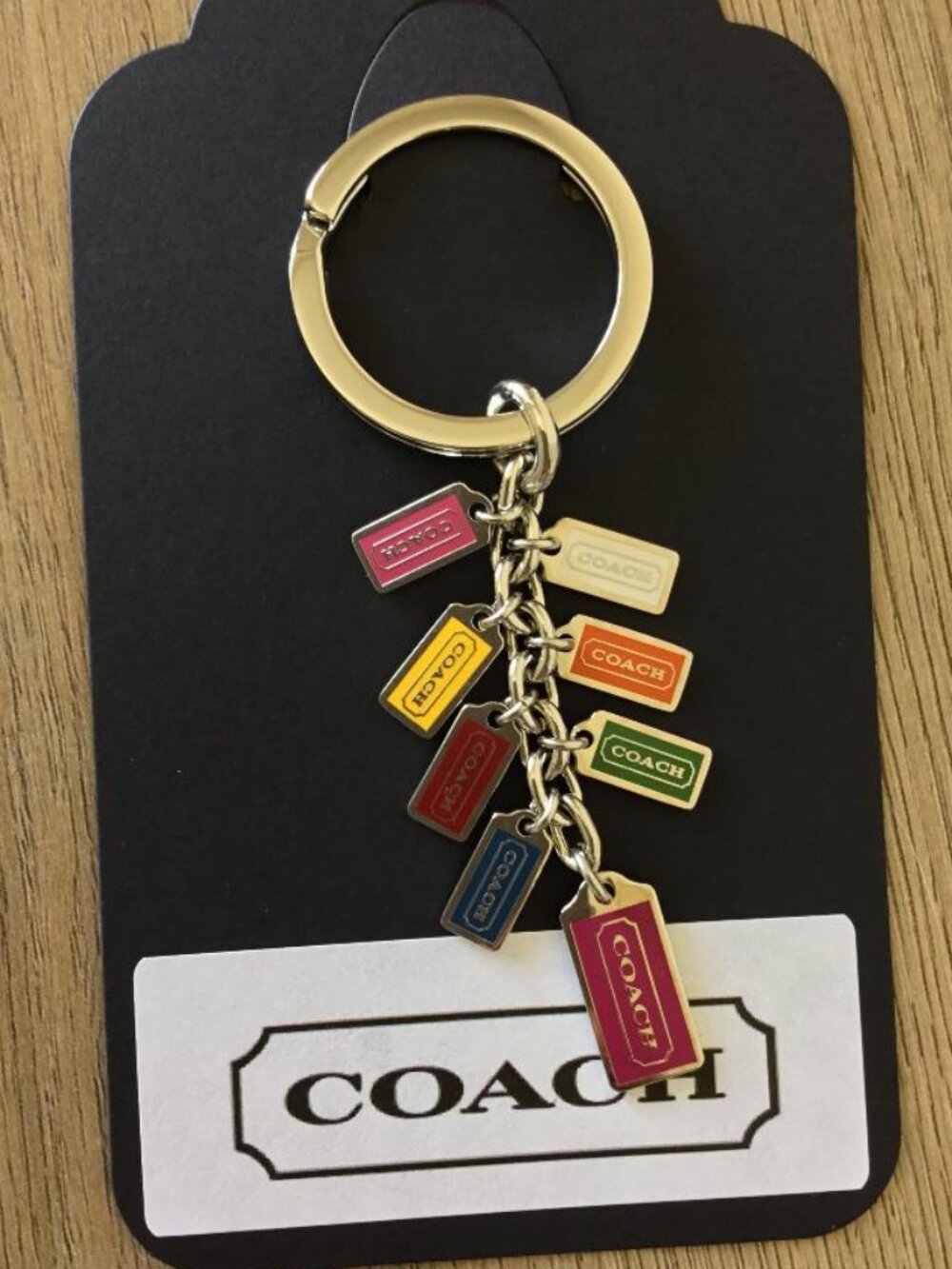 Coach Vintage Multicolor Enamel Tag Charm Keyring
